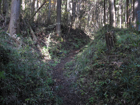 20161117hike (26)